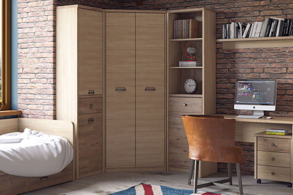 Фото Шкаф 2D1S/D1 Дизель (Diesel) от производителя Анрэкс в Саках по цене 16 500 ₽