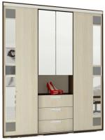 Фото  шкаф-купе маэстро (2 двери) производитель БТС 