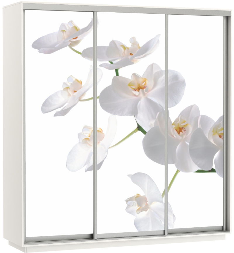 Фото Шкаф-купе Экспресс Трио Фото (2,4х0,6х2,4 - 3 двери) от производителя Мебельная компания Е1 в Саках по цене 63&nbsp;870 ₽